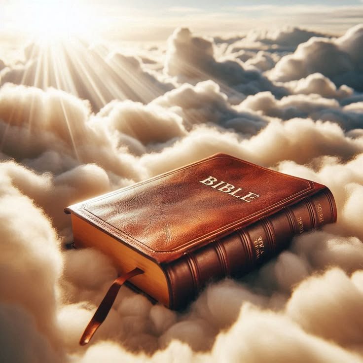 Lecturas 9 02 2025 OK