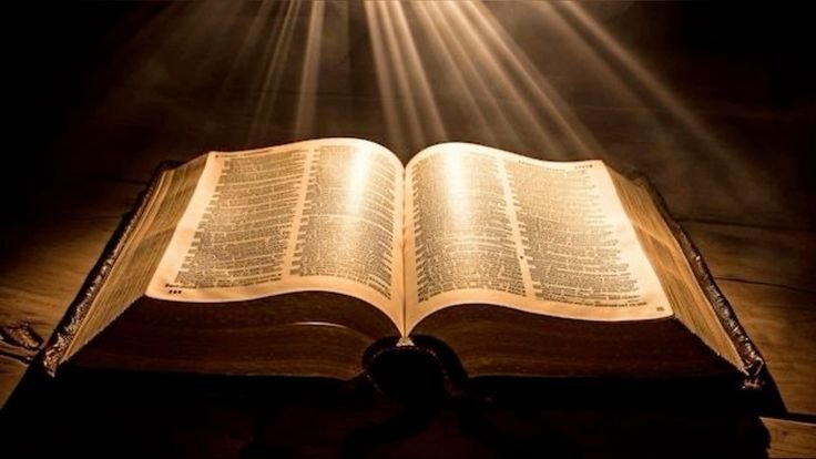 imagen texto lecturas 15 07 2026